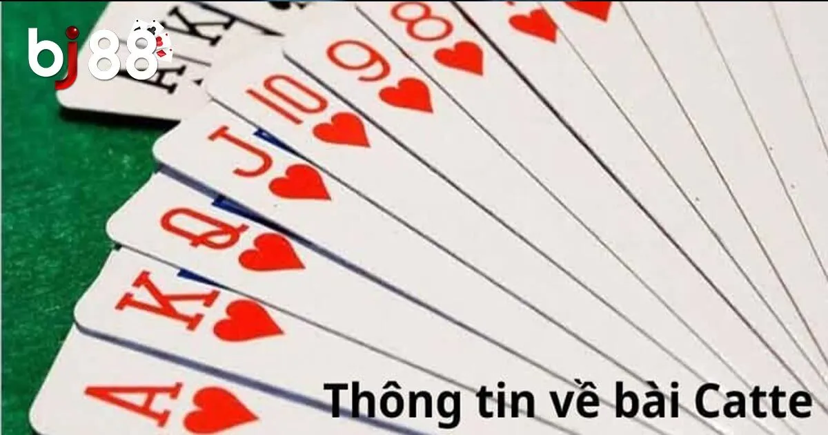 Tổng quan về b&agrave;i catte