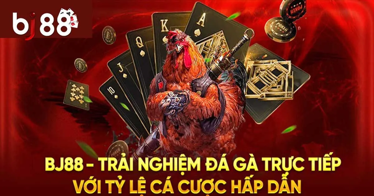 Sức Hấp Dẫn Đá Gà BJ88 Và Cẩm Nang Tham Gia Cho Tân Binh 1 Giới thiệu đôi nét về sảnh đá gà BJ88
